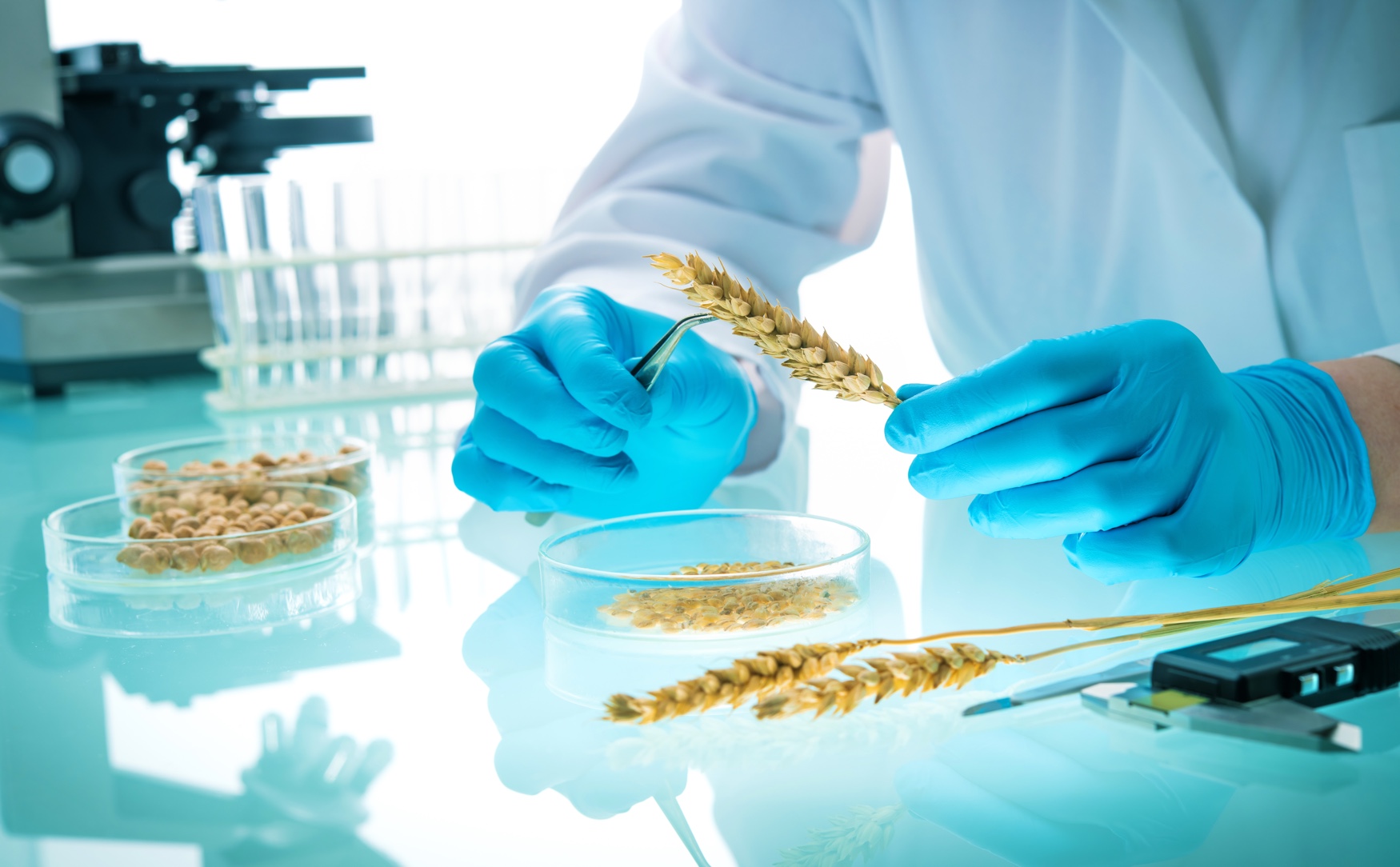 Syngenta Vegetable Seeds и Tropic объявили о партнерстве в области редактирования генов