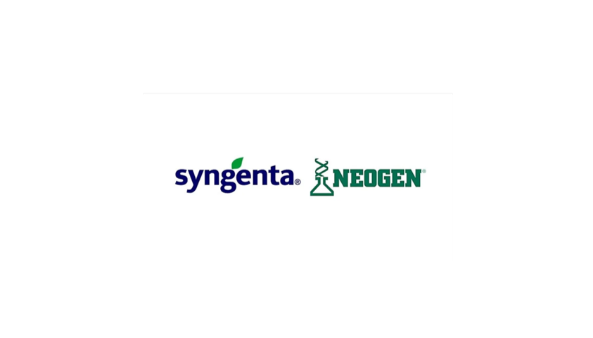 Syngenta и Neogen заключили лицензионное соглашение на родентициды