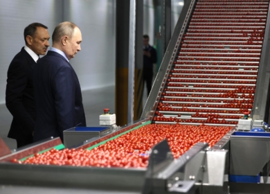 «ЭКО-культура» инвестировала 76 млрд рублей в проекты на Северном Кавказе