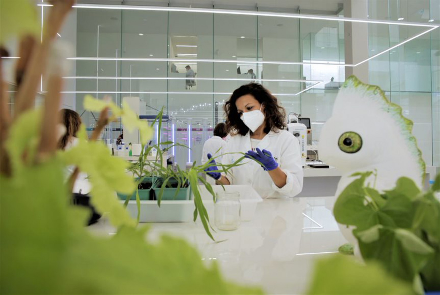 Bayer и Kimitec запускают два биопродукта нового поколения