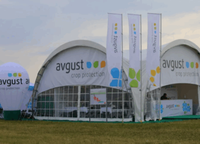 Гербициды «Августа» будут бороться с борщевиком Сосновского