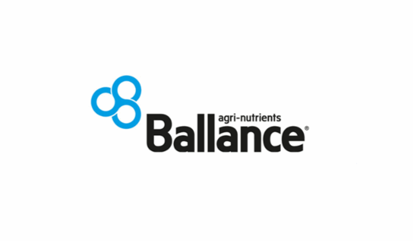 Ballance прекратит производство фосфатов на объекте Маунт Маунгануи
