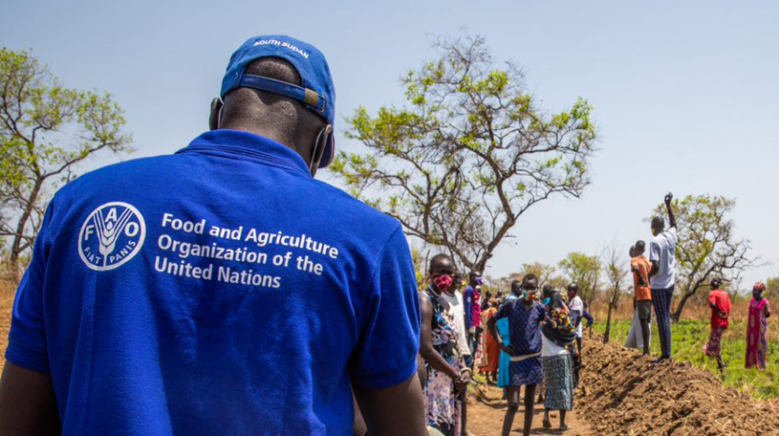 FAO предупредила о серьезной деградации сельхозземель в арабском регионе