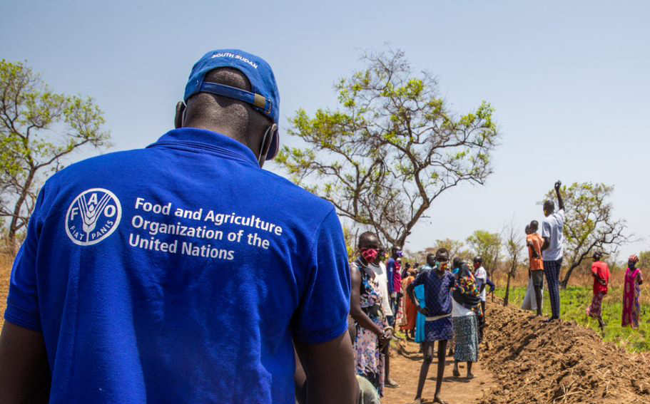 FAO предупредила о серьезной деградации сельхозземель в арабском регионе