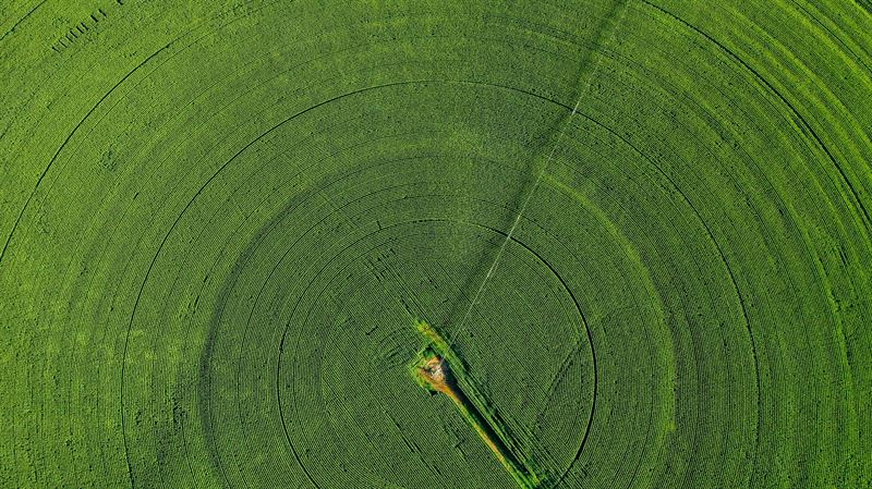 Cinis Fertilizer налаживает производство сульфата калия