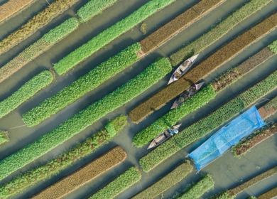 OCP Nutricrops поставит Бангладеш 1,1 млн тонн удобрений