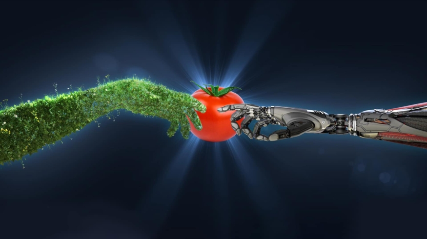 Автокомпания DENSO приобрела Axia Vegetable Seeds