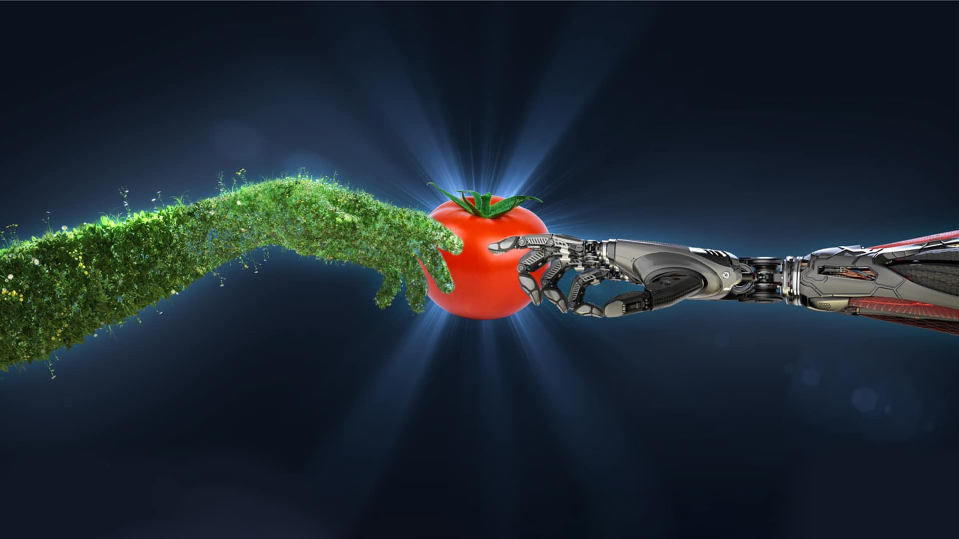 Автокомпания DENSO приобрела Axia Vegetable Seeds