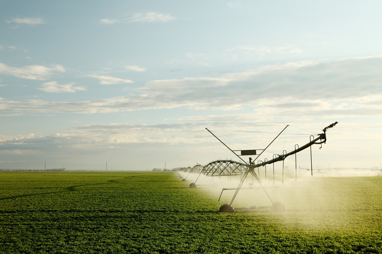 Irritec Group приобрела колумбийскую компанию Agrifim