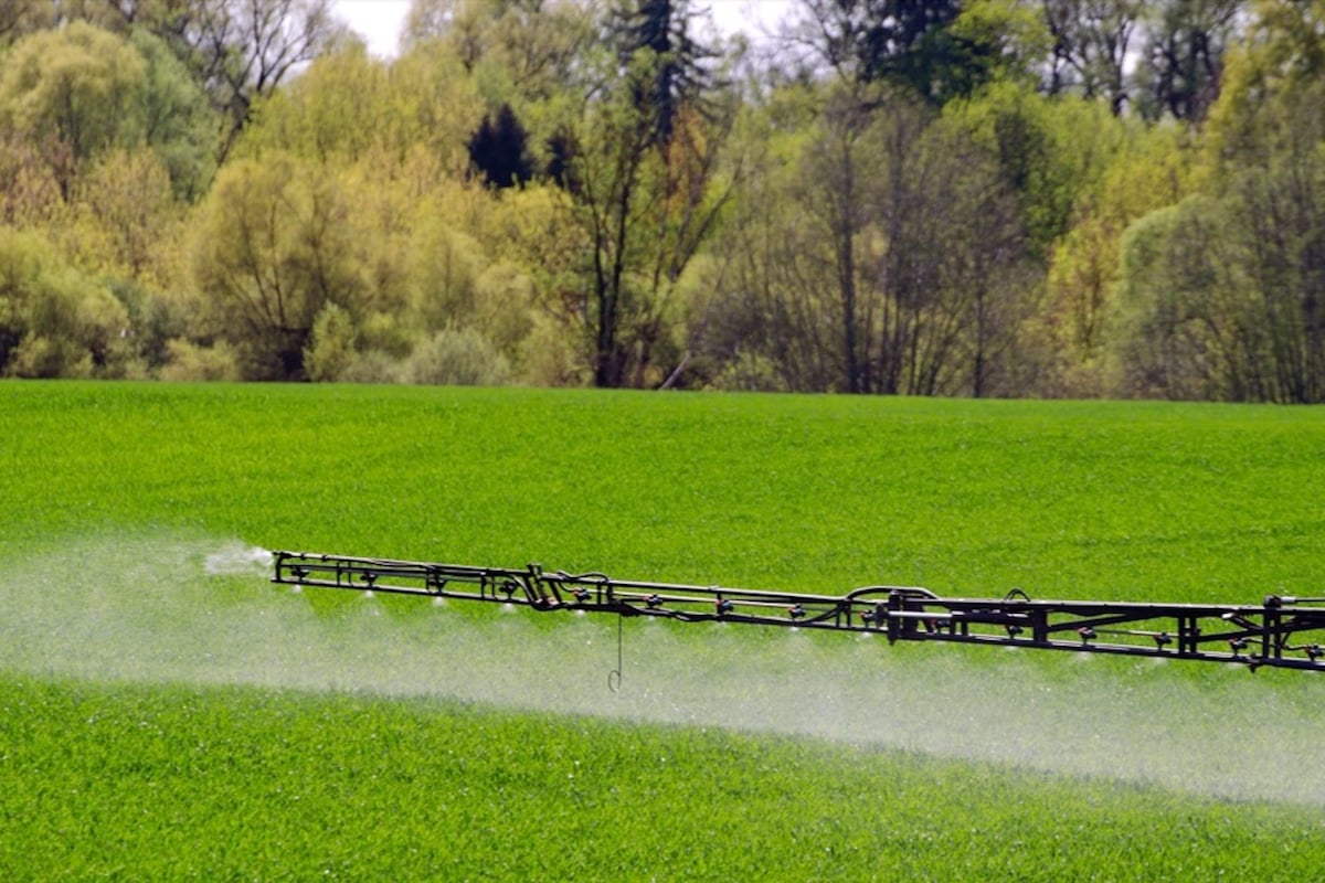 Bayer зарезервировал 1,9 млрд долларов США на случай судов по Roundup