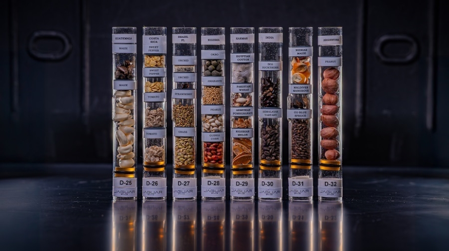 Бразилия отправила семена на Международную космическую станцию