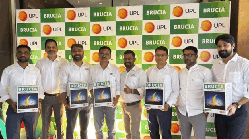 UPL запустила в Индии новый гербицид для кукурузы Brucia