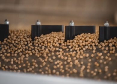 В Липецкой области открылся селекционно-семеноводческий центр