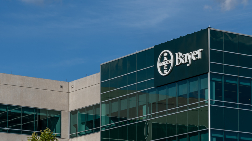Bayer Crop Science Canada представила новый протравитель семян Raxil Rise