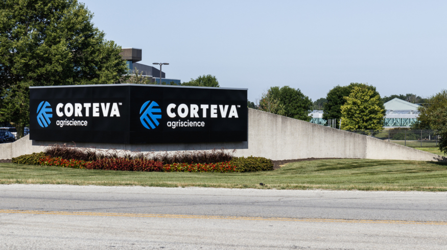 Corteva обновила инсектицид Delegate для индийских фермеров
