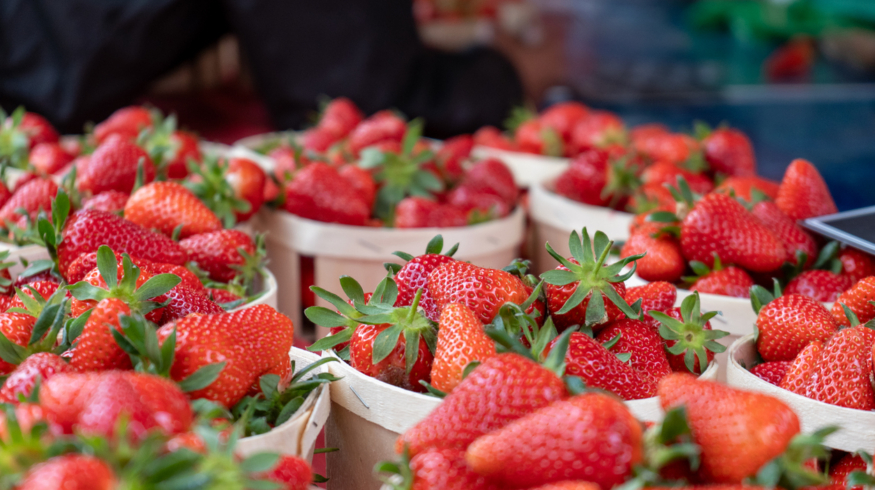 Саратовские экоудобрения будут использовать для выращивания клубники на Ближнем Востоке