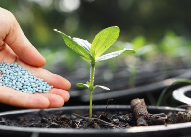 Объем биржевых торгов минудобрениями превысил в 4 раза показатель прошлого года