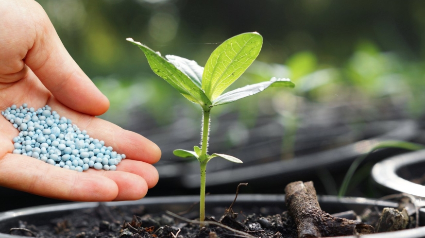 Объем биржевых торгов минудобрениями превысил в 4 раза показатель прошлого года