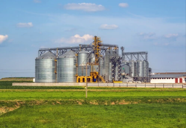 Paradeep Phosphates завершила слияние с Mangalore Chemicals & Fertilizers