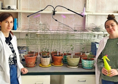 Челябинские ученые работают над созданием удобрений из наноцинка