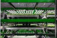 Крупнейшая вертикальная ферма США Bowery Farming уйдет с молотка