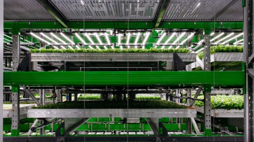 Крупнейшая вертикальная ферма США Bowery Farming уйдет с молотка