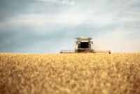 Сергей Михайлов, ЕвроХим: «Развитие рынка возможно за счет внедрения инновационных составов»