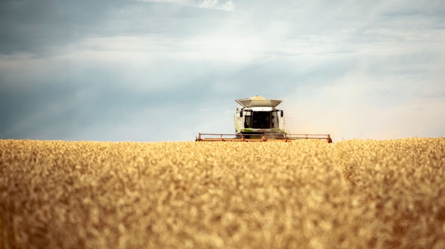 Сергей Михайлов, ЕвроХим: «Развитие рынка возможно за счет внедрения инновационных составов»