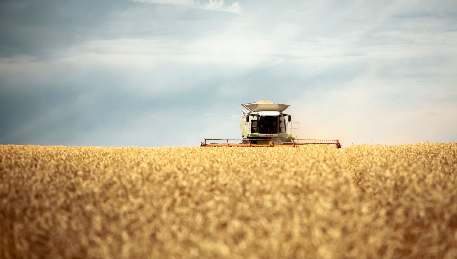 Сергей Михайлов, ЕвроХим: «Развитие рынка возможно за счет внедрения инновационных составов»