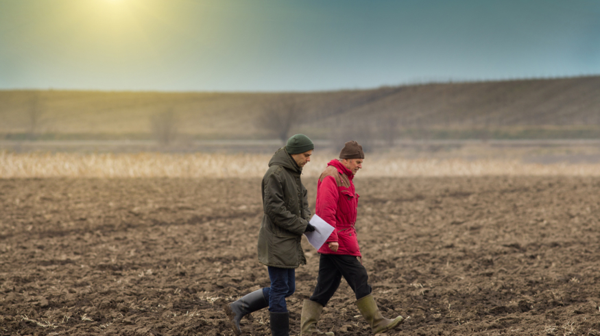 Правительство РФ расширило параметры поддержки аграриев в рамках госпрограммы развития с/х