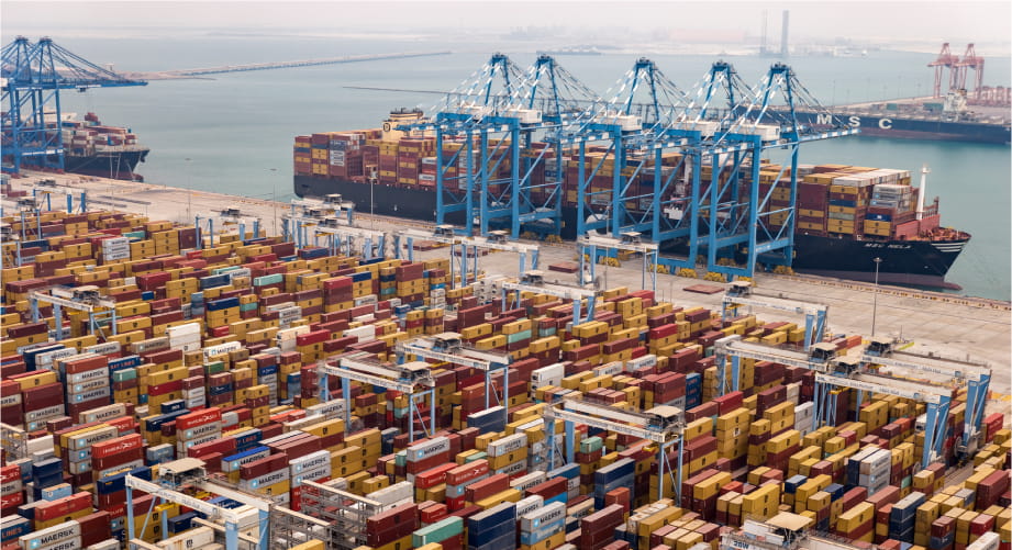 Lionsbridge Investments и AD Ports займутся логистической инфраструктурой завода по производству фосфорной кислоты в Египте