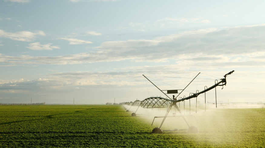 К 2030 году площадь орошаемых земель в России увеличится на 40%