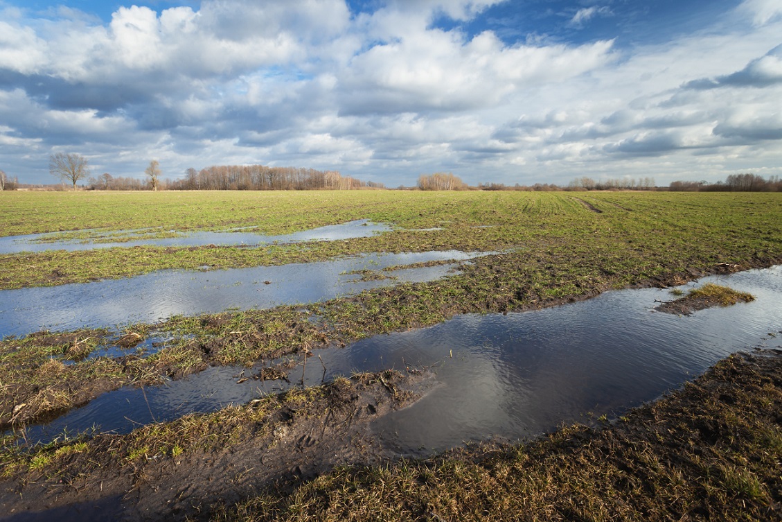 В Орловской области введен режим ЧС