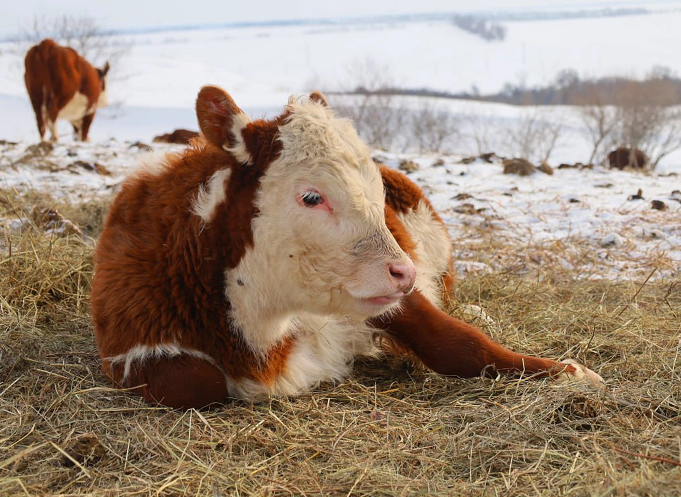 В Самарской области реализуют эффективную модель взаимодействия агропроизводства и науки