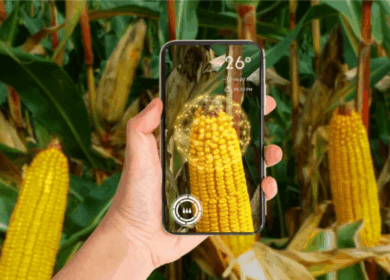 Syngenta открыла разработчикам цифровую платформу Cropwise Open Platform