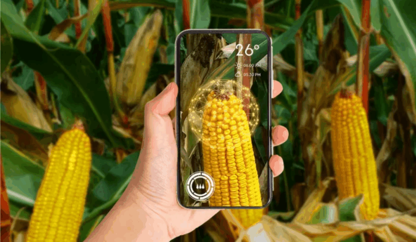 Syngenta открыла разработчикам цифровую платформу Cropwise Open Platform