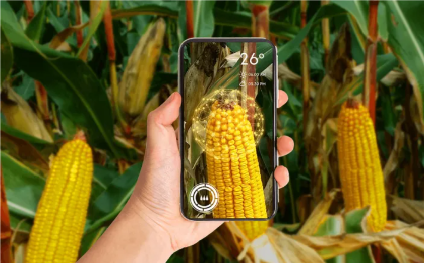 Syngenta открыла разработчикам цифровую платформу Cropwise Open Platform