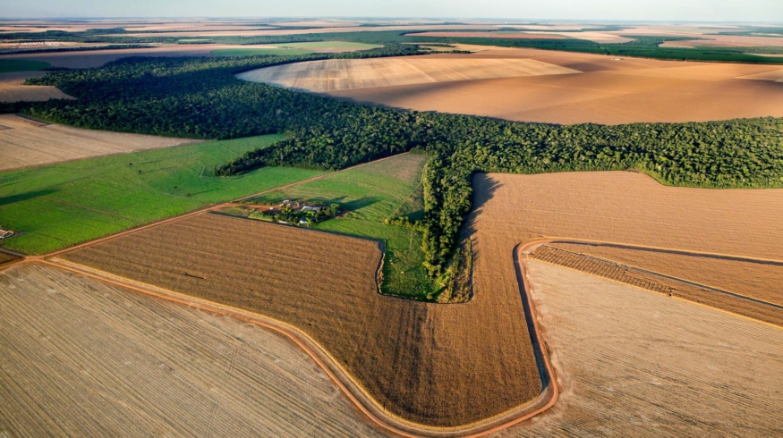 Программа REVERTE компании Syngenta получила признание на COP30 как ведущая инициатива по трансформации сельского хозяйства