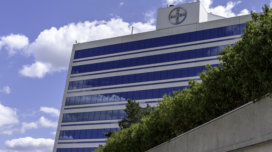 Bayer Crop Science Canada запустила EverGol Rise для борьбы с заболеваниями бобовых