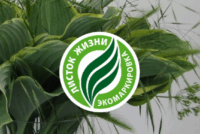 Белорусский картофель впервые получил российскую экомаркировку «Листок жизни»