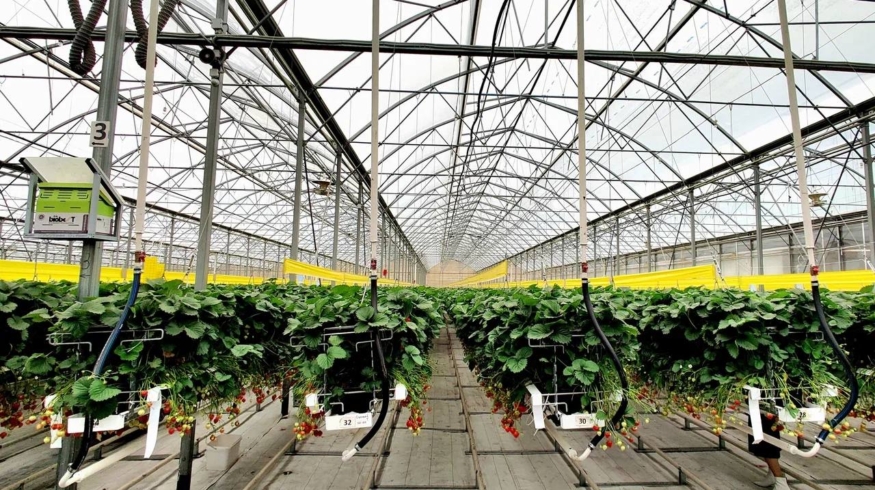 Совместный проект Минсельхоза РФ и «Газпрома» позволит аграриям снизить себестоимость продукции