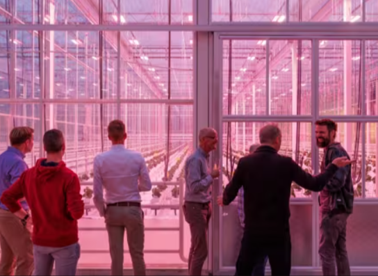 Rijk Zwaan открыла новую теплицу De Hybride Phase 2