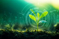 Syngenta зарегистрировала в США технологию PLINAZOLIN и готовится вывести на рынок пять инсектицидов